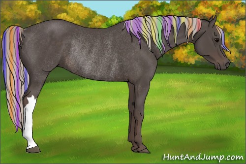 Horse Color:Painted Silver Black Rabicano 