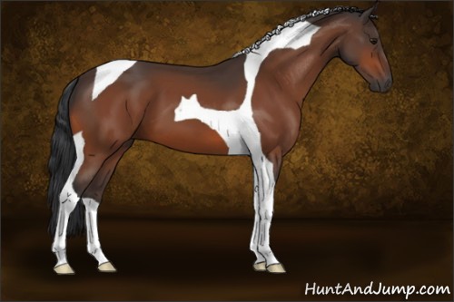 Horse Color:Bay Tobiano 