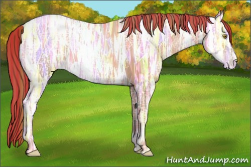 Horse Color:Painted Gold Champagne Ice Rabicano 