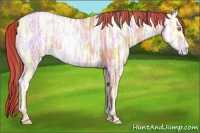 Horse Color:Painted Gold Champagne Ice Rabicano