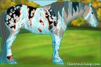 Horse Color:Thunderstruck Classic Champagne Tobiano Blanket Rabicano 