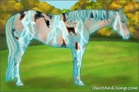 Horse Color:Thunderstruck Gold Champagne Tobiano Rabicano 