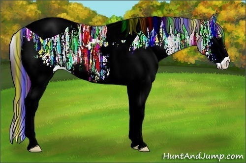 Horse Color:Painted White Spotted Bay Ice Dun Tobiano Appaloosa Rabicano 