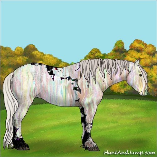 Horse Color:Silver Brown Ice Dun Tobiano Rabicano 