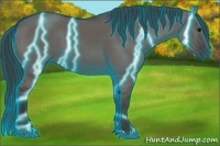 Horse Color:Thunderstruck Grullo 