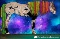 Horse Color:Painted White Spotted Red Dun