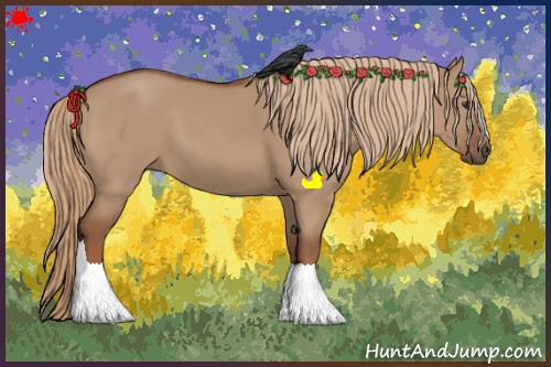 Horse Color:Red Dun 