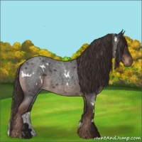 Horse Color:White Spotted Liver Red Roan