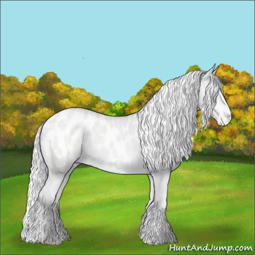 Horse Color:Silver Classic Champagne Chinchilla Appaloosa 