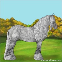 Horse Color:Silver Classic Champagne Chinchilla Ice Roan