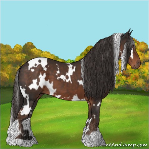 Horse Color:White Spotted Liver Chestnut