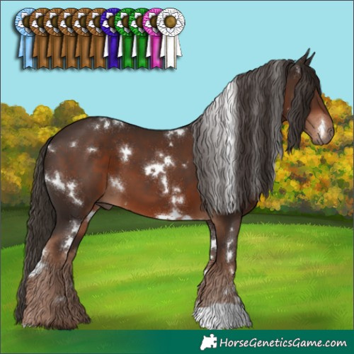 Horse Color:White Spotted Liver Chestnut