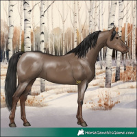 Horse Color:Liver Red Dun 