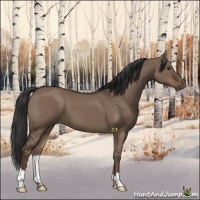 Horse Color:Liver Red Dun 