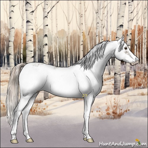 Horse Color:Chocolate Palomino Ice Sabino