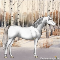 Horse Color:Chocolate Palomino Ice Sabino 