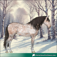 Horse Color:Bay Ice Roan Rabicano 