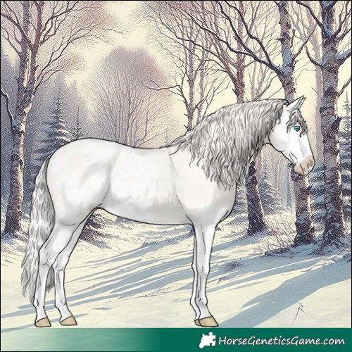 Horse Color:Cremello Ice Dun Splash Rabicano
