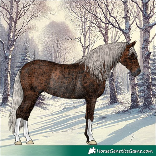 Horse Color:Silver Bay Ice Rabicano 