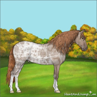 Horse Color:Liver Red Dun Ice 