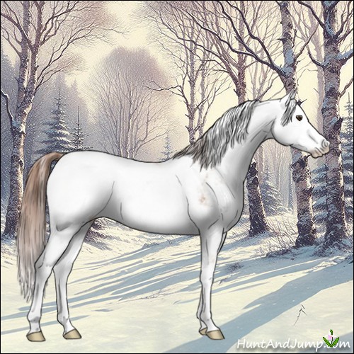 Horse Color:Red Dun Ice Sabino 