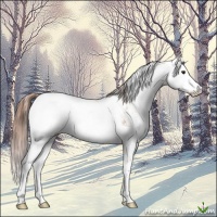 Horse Color:Red Dun Ice Sabino 