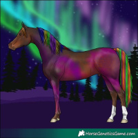 Horse Color:Painted Liver Chestnut 