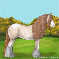 Horse Color:Sable Champagne Pearl Sabino Appaloosa 
