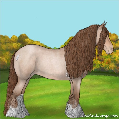 Horse Color:Brown Roan Pearl 
