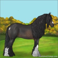 Horse Color:Brown 