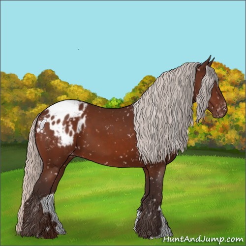 Horse Color:Silver Bay Appaloosa 