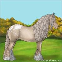 Horse Color:Chocolate Palomino Roan Pearl Appaloosa 