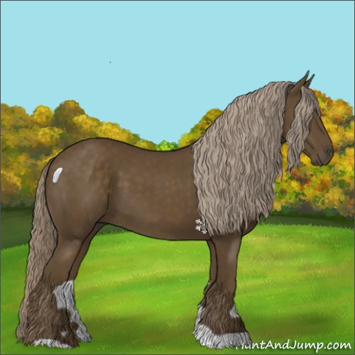 Horse Color:Chocolate Palomino