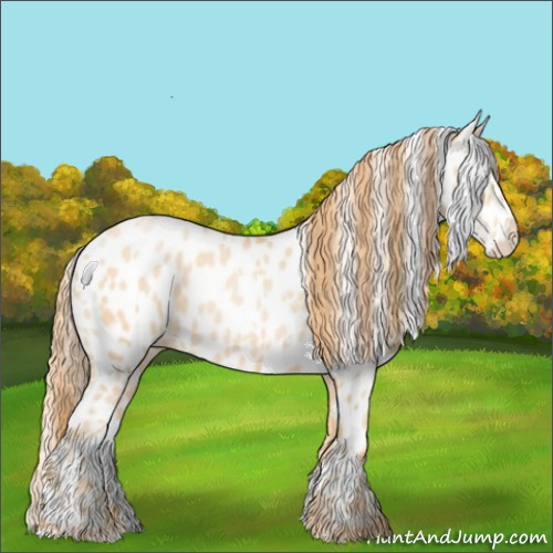 Horse Color:White Spotted Buckskin Pearl Appaloosa 
