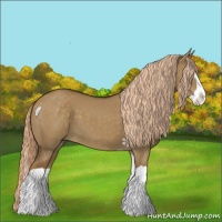 Horse Color:Chocolate Palomino Dun Splash 