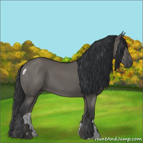 Horse Color:Grullo 