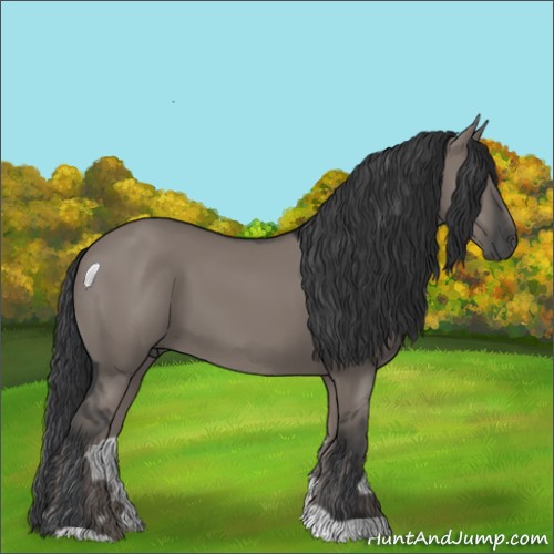 Horse Color:Grullo 