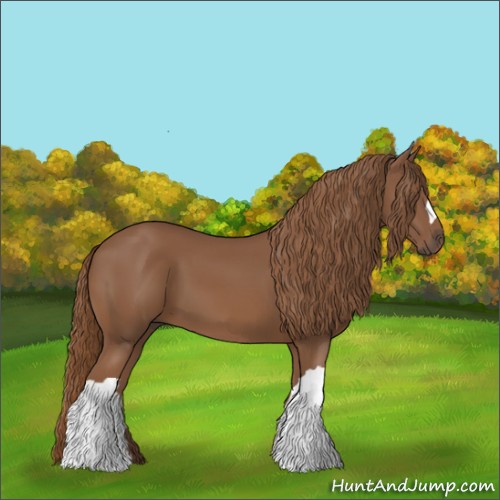 Horse Color:Chestnut 