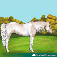 Horse Color:Platinum Silver Classic Champagne Onyx Tobiano 