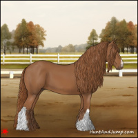 Horse Color:Chestnut 