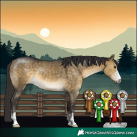 Horse Color:Buckskin Dun 