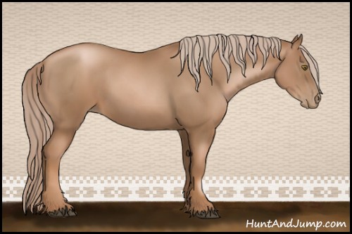 Horse Color:Liver Chestnut Pearl 