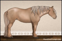 Horse Color:Liver Chestnut Pearl 