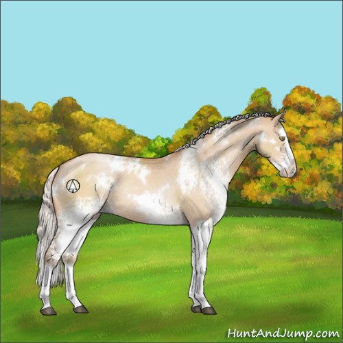 Horse Color:White Spotted Silver Brown Pearl Dun Splash Rabicano