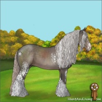 Horse Color:White Spotted Silver Black Tobiano 