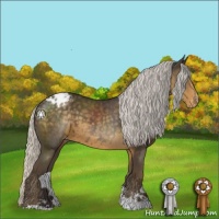 Horse Color:Silver Smoky Black Sabino Varnish 