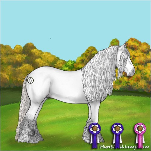 Horse Color:Gray White Spotted Silver Buckskin Sabino