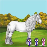 Horse Color:Gray White Spotted Silver Buckskin Sabino 