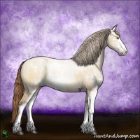 Horse Color:Brown Pearl Dun Sabino 