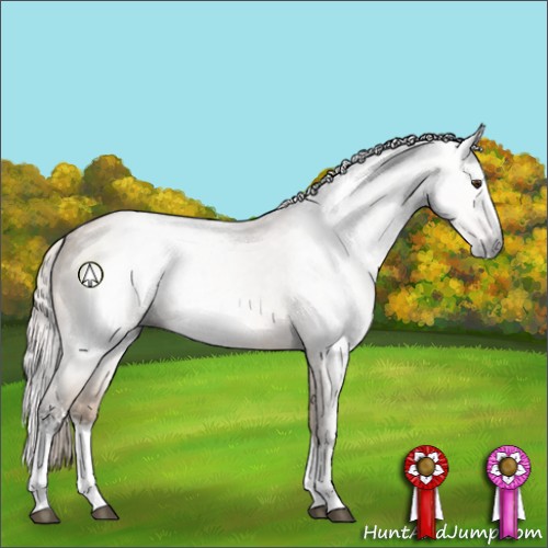 Horse Color:Gray White Spotted Silver Bay Dun Sabino Splash
